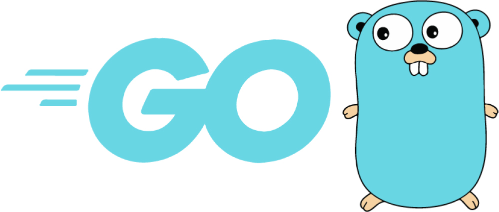 go programming language