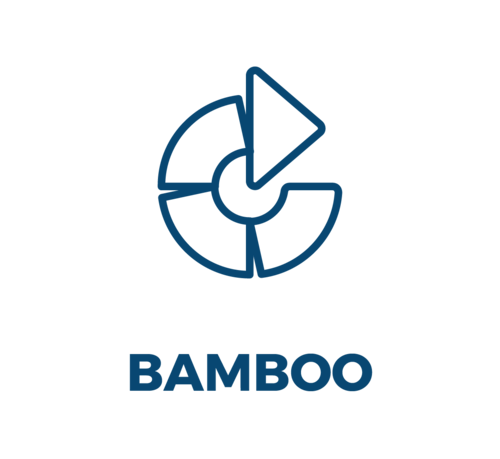 bamboo